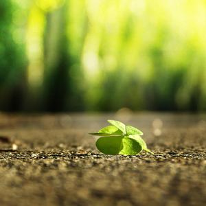 免费无遮挡🔞视频被扒开衣服网站
